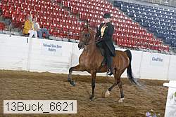 13buck_6621 proof