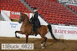 13buck_6622 proof