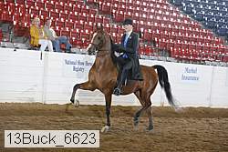 13buck_6623 proof