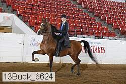 13buck_6624 proof