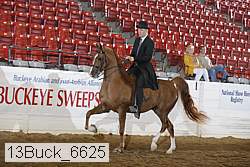 13buck_6625 proof