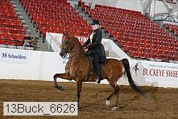 13buck_6626 proof