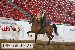 13buck_6627 proof
