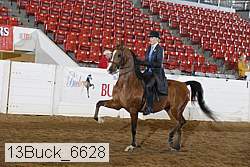 13buck_6628 proof
