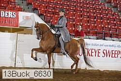 13buck_6630 proof