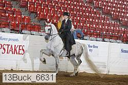 13buck_6631 proof