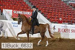 13buck_6632 proof