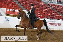 13buck_6633 proof