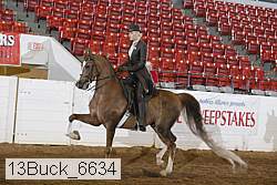 13buck_6634 proof