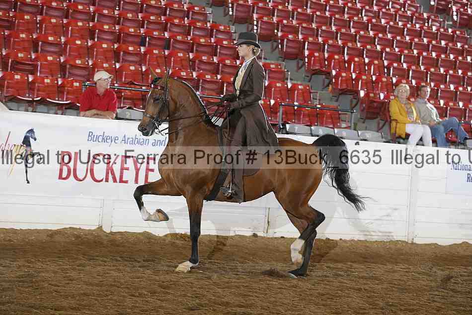 Proof 13buck_6635