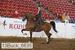 13buck_6635 proof