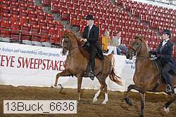 13buck_6636 proof