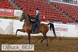 13buck_6637 proof