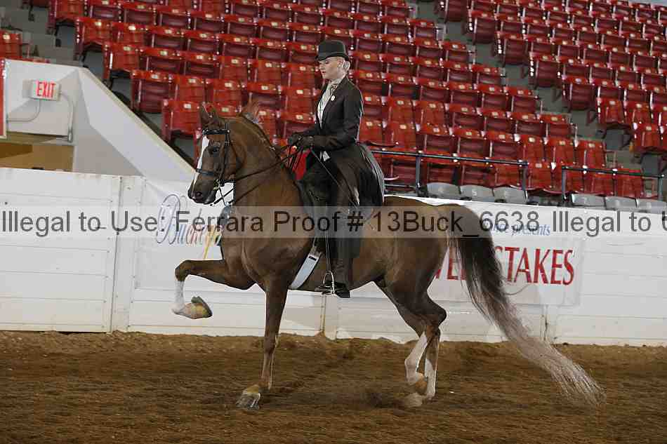 Proof 13buck_6638