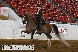 13buck_6638 proof