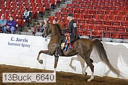 13buck_6640 proof