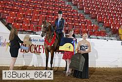 13buck_6642 proof