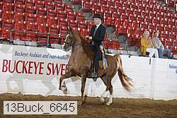 13buck_6645 proof