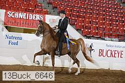 13buck_6646 proof