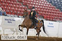 13buck_6647 proof