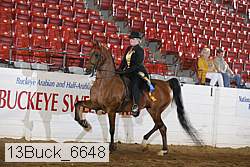 13buck_6648 proof