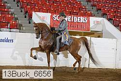 13buck_6656 proof