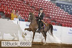 13buck_6660 proof