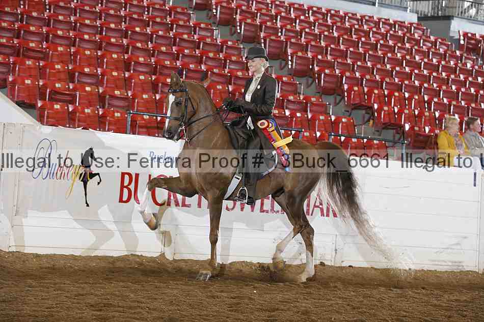 Proof 13buck_6661