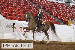 13buck_6661 proof
