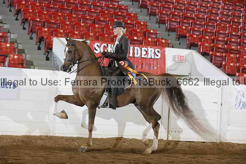 Proof 13buck_6662