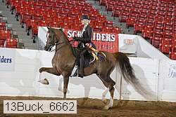 13buck_6662 proof
