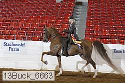 13buck_6663 proof