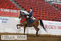 13buck_6664 proof
