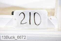 13buck_6672 proof