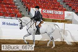 13buck_6675 proof