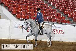 13buck_6676 proof
