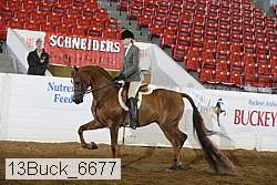 13buck_6677 proof