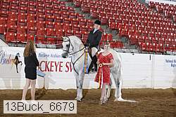 13buck_6679 proof