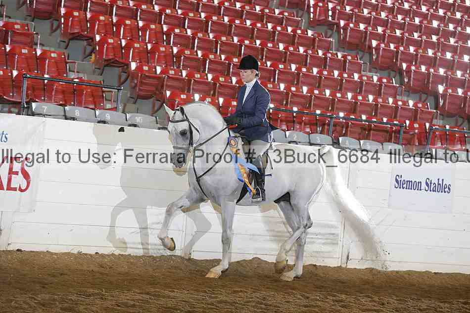 Proof 13buck_6684