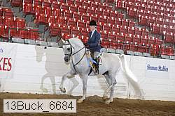 13buck_6684 proof