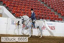13buck_6685 proof