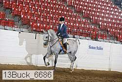 13buck_6686 proof