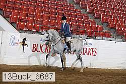 13buck_6687 proof