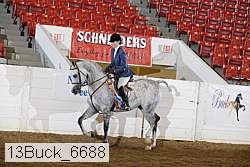 13buck_6688 proof