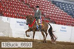 13buck_6693 proof