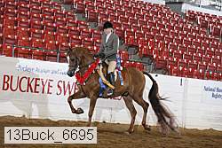 13buck_6695 proof