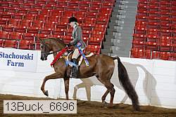 13buck_6696 proof