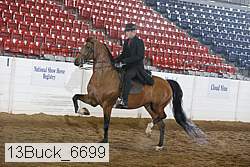 13buck_6699 proof