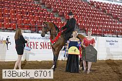13buck_6701 proof