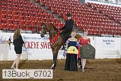 13buck_6702 proof